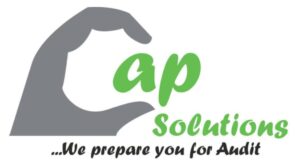 AP Solutions Logo